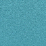 Parasol YP109