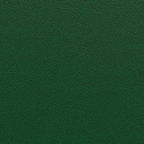 Rainforest YP114