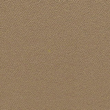 Sandstorm YP107