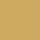 Brass Metallic