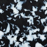 Orca
