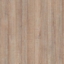 Grey Arizona