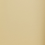 Sand Yellow