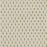 Ivory 5 KG4