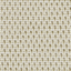 Ivory 5 KG4