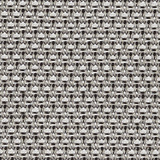 Silver 5 KG1