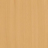Ellmau Beech H1582