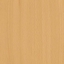 Ellmau Beech H1582