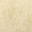 Poplar