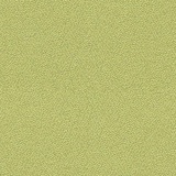 Apple YS096