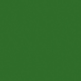 Fern Green