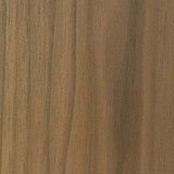 American Black Walnut