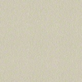 Champagne Matte 4146