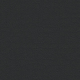 Ebony L112