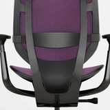 Lumbar Support