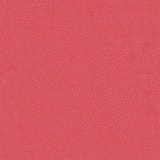 Cherry 01