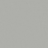 Nickel 05