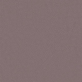 Raisin 07