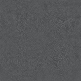 Black 08