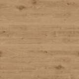 Solid Oak