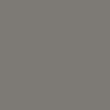 Dark Grey RE 22