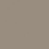 Turtledove CO