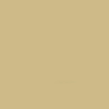 Green Beige (RAL 1000)