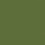 Fern Green (RAL 6025)