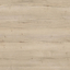 H1176 ST37 White Halifax Oak