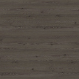 H3406 ST38 Anthracite Mountain Larch