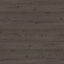 H3406 ST38 Anthracite Mountain Larch