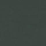 4174 Conifer