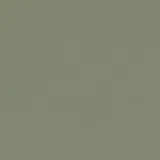 4184 Olive
