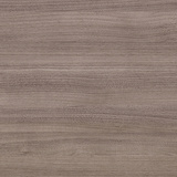 English Walnut