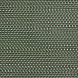 Peacock - 5T33