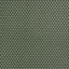 Peacock - 5T33