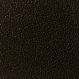 Chestnut 66