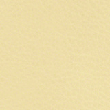 Ivory 82