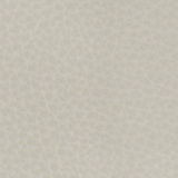 Light Grey 85