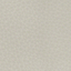 Light Grey 85