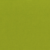 Wasabi Apple Green AT21