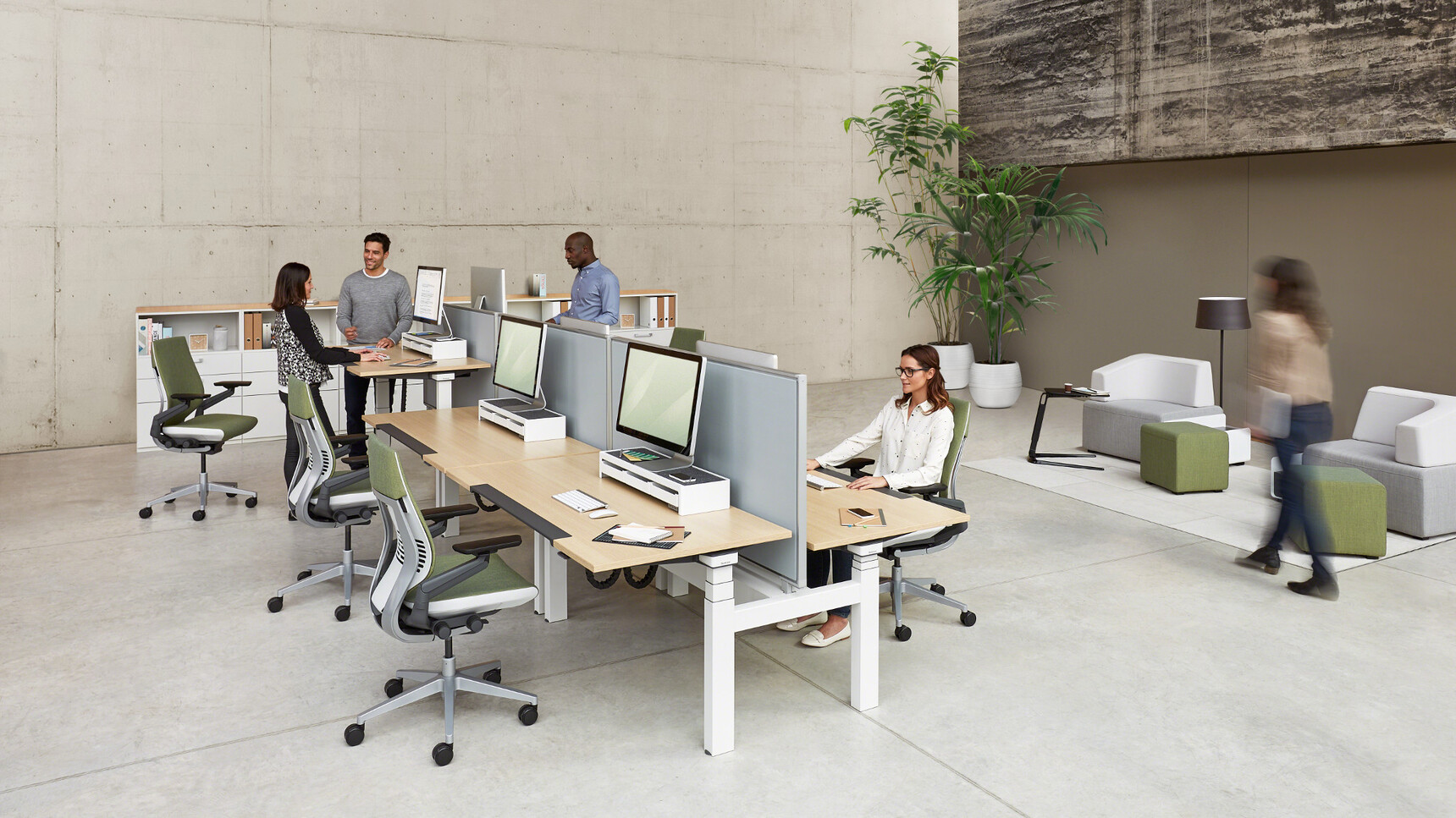 Three Steelcase Ology Height Adjustable Bench Desks With Active Touch White Leg Wood Top Grey Privacy Screens Five Green Upholstered Gesture Wrapped Back At Desk