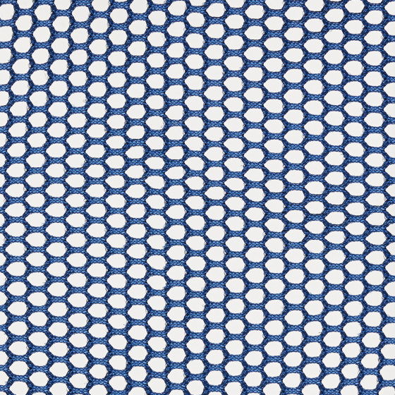 Royal Blue 16