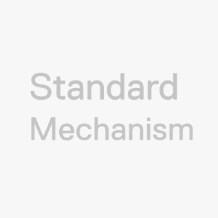 Standard Mechanism