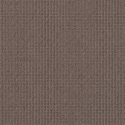 8017 Mocca