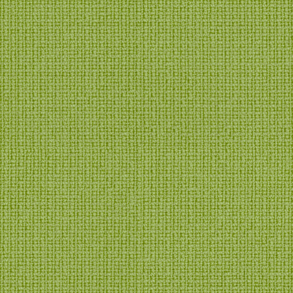 8023 Avocado
