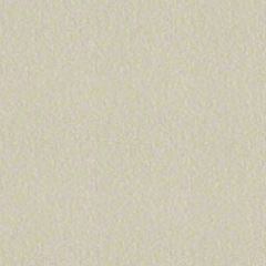 Champagne Matte 4146 EMEA 1000