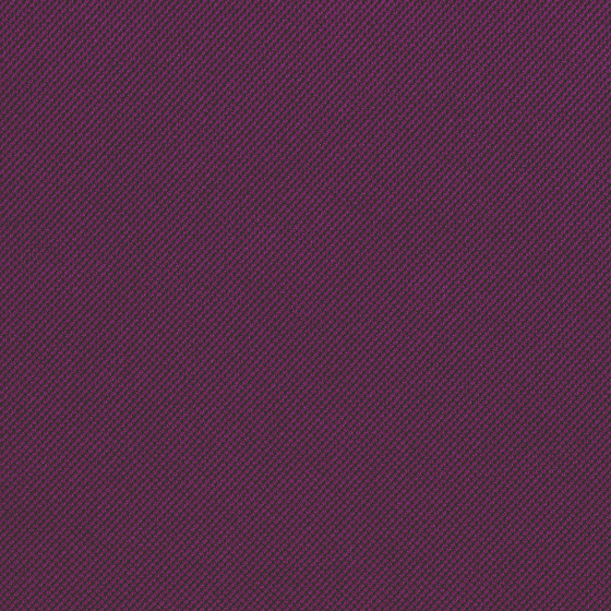 Concord Purple AT23 1000