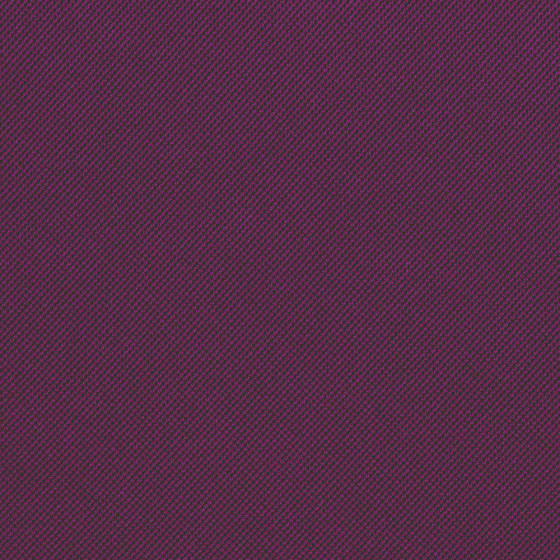 Concord Purple AT23 1000