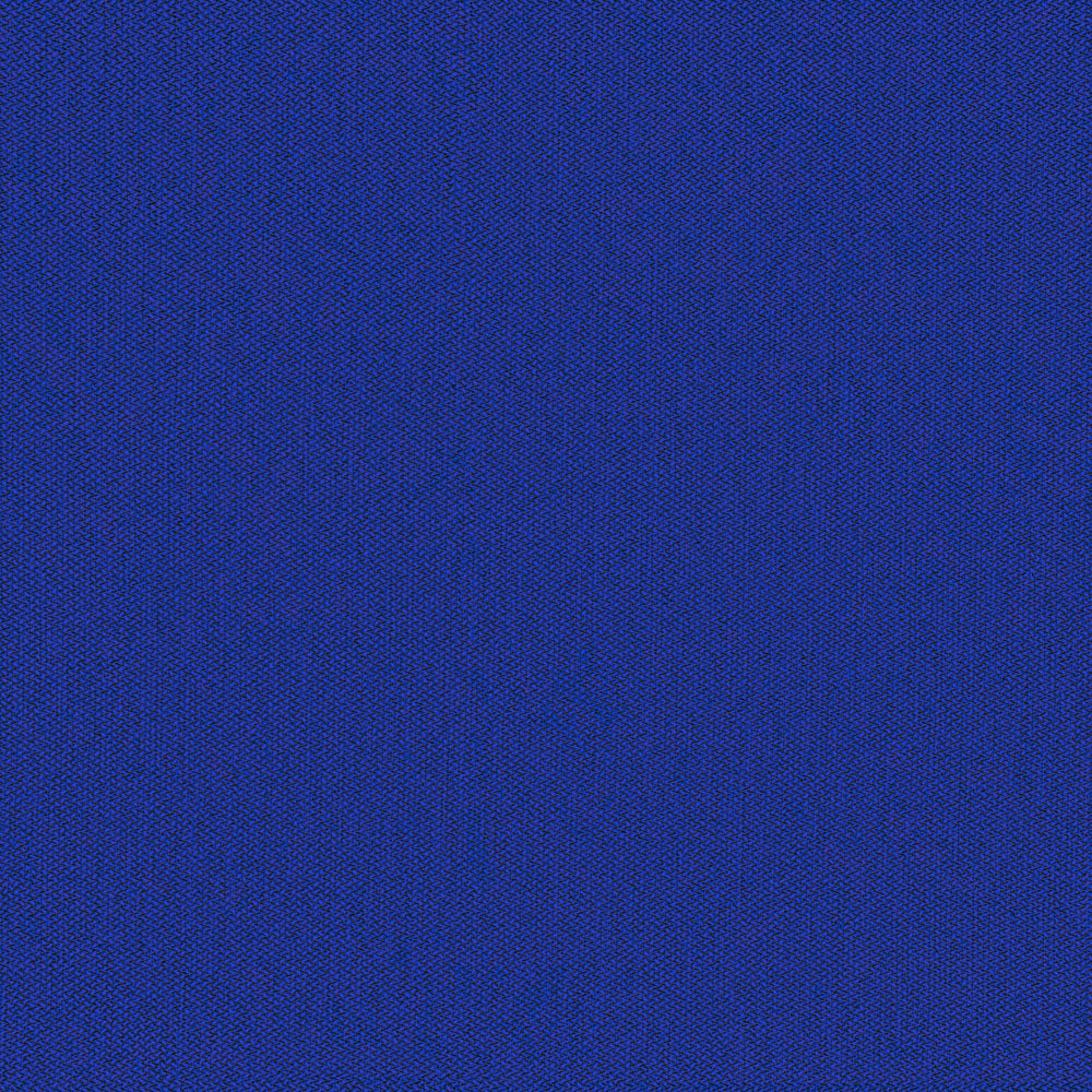 Electric Indigo 5 EU2 1000